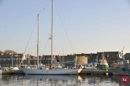 Astragale, un nom pour marcher sur l'eau Astragale VI Basiléa