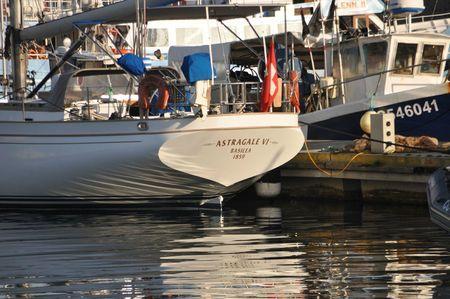 Astragale, un nom pour marcher sur l'eau Astragale VI Basiléa pavillon Suisse (3)