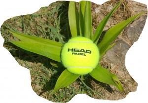 HEAD ATP