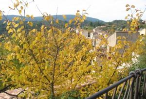 Beauté  de l’automne à Ampus