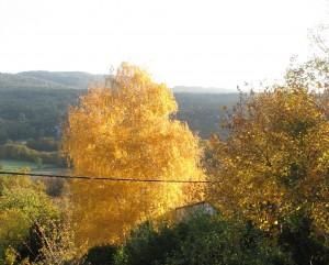 Beauté  de l’automne à Ampus