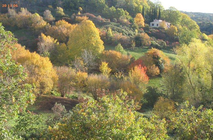 Beauté  de l’automne à Ampus