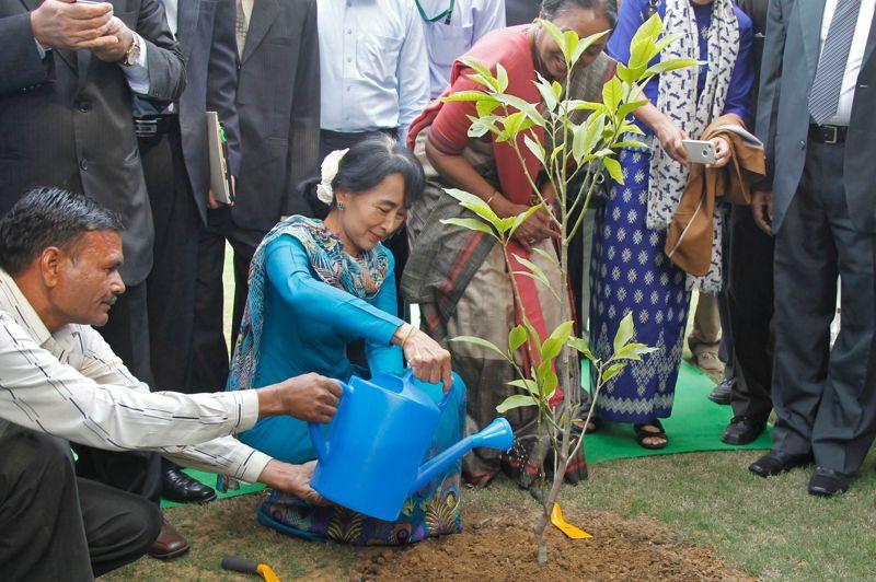 Un arbre pour la paix. L'opposante birmane Aung San Suu Kyi a symboliquement planté un magnolia lors de sa visite en Inde ce jeudi. Qualifiant d' «énorme tragédie internationale» les conflits violents entre bouddhistes et musulmans dans son pays, elle a appelé au soutien de l'Inde pour enraciner la démocratie en Birmanie.