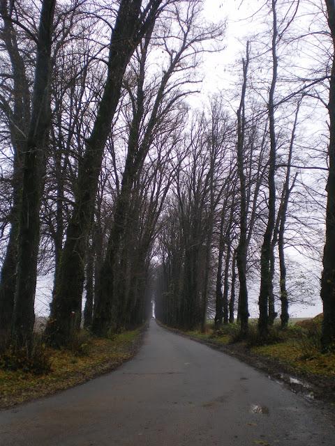 L'allée des Tilleuls