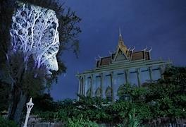 Mapping Cambodian Trees par Clément Briend