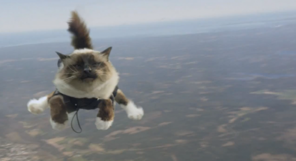 Insolite : des chats parachutistes dans une pub suédoise