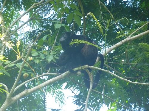 Derniers jours au Costa Rica