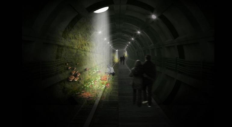 Pop Down Project : balade souterraine et champignons sous Oxford Street