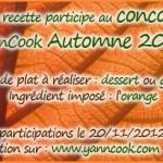 Concours_YannCook_automne_2012