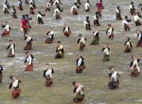 Surin, festival des éléphants, prélude