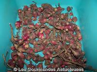 Ocas du Pérou à la chinoise