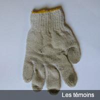 Les Témoins