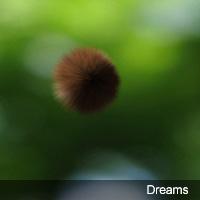 Dreams