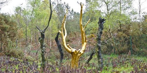 Arbre Or  zabaraorg Escapades au fil des légendes de nos campagnes