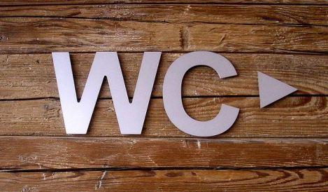 En route pour les WC!