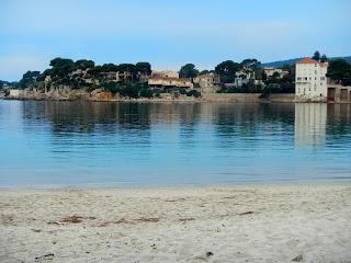 RESPIRATION.............