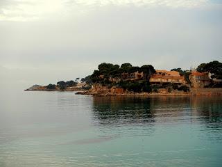 RESPIRATION.............