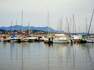 RESPIRATION.............