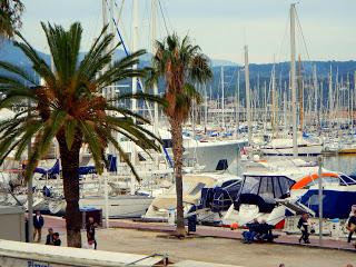 RESPIRATION.............