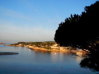 RESPIRATION.............