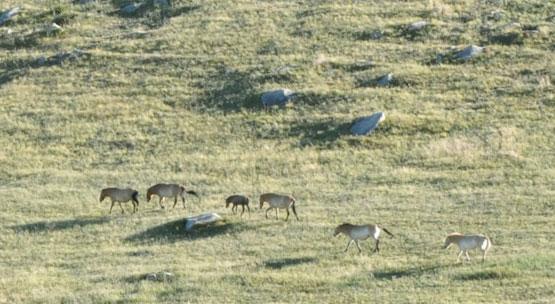 Jour 11 : Dernière nuit sous tente...
