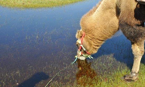 Jour 11 : Dernière nuit sous tente...