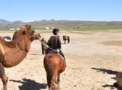 Jour Dernière nuit sous tente...