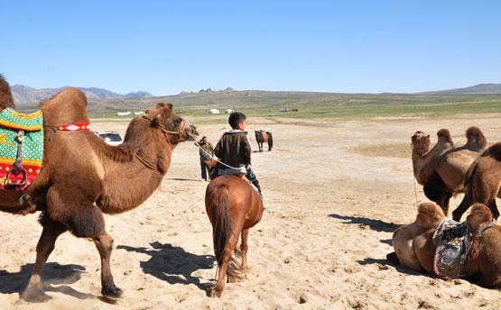 Jour 11 : Dernière nuit sous tente...