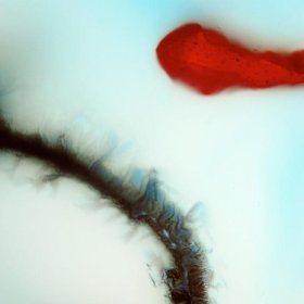 Emission du 21 Novembre 2012