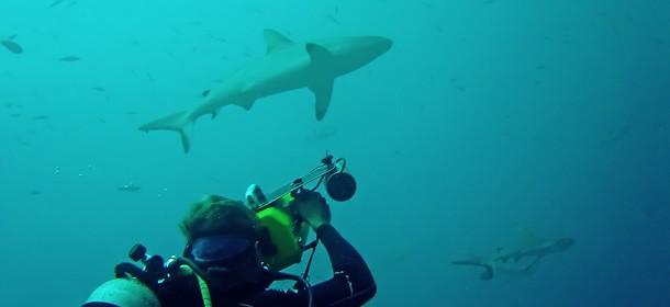 reussir dans l'affiliation