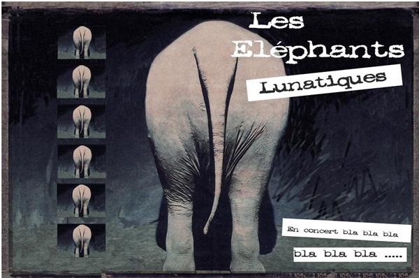 Vous : Nathalie Chignardet