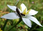 C'est quand Printemps