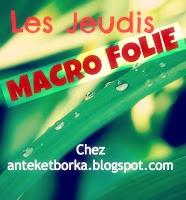 MAGDA-MACRO-FOLIE.jpg