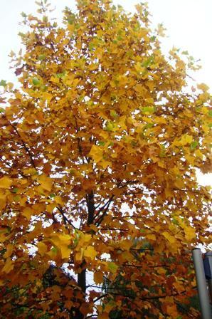 Article posté le jeudi 25 octobre 2012 14:21