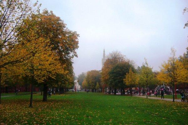 Article posté le jeudi 25 octobre 2012 14:21