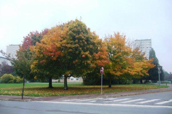 Article posté le jeudi 25 octobre 2012 14:21