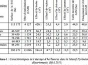 Agriculture pyrénéenne Etat lieux solutions