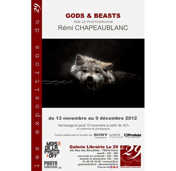 Rémi Chapeaublanc Gods and Beasts