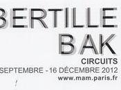 Bertille Bak, Circuits, Musée d'Art Moderne Paris