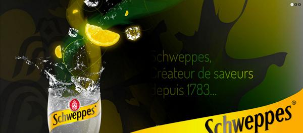 Vous : Stéphane Ribeiro