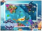 Evofish le dernier jeu Bulkypix disponible sur l’App Store