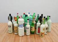 mircea cantor prix marcel duchamps