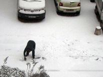 mircea cantor prix marcel duchamps