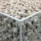 mircea cantor prix marcel duchamps