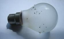 mircea cantor prix marcel duchamps