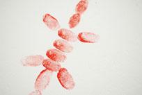 mircea cantor prix marcel duchamps