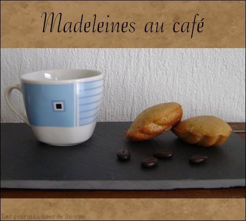 Madeleines-au-cafe.jpg