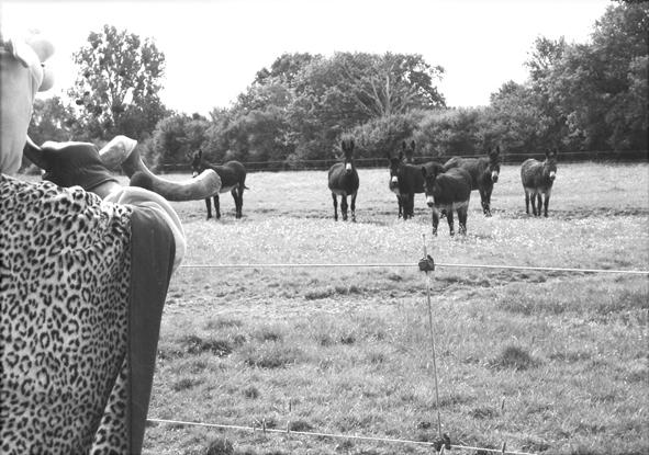 printemps de l'art contemporain