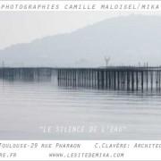Exposition Camille Maloisel rue Pharaon Toulouse