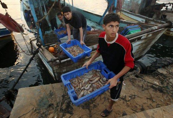 Des Palestiniens près du port de Gaza.